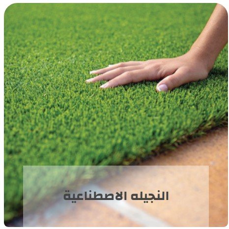 النجيله الصناعية هي بديلك المثالي للنجيله الطبيعية التي لا تحتاج أي نوع من الإعتناء. الطلب يزداد بشكل كبير مع ازدياد التصاميم، الخصائص، طرق التركيب، التنظيف والصيانة.